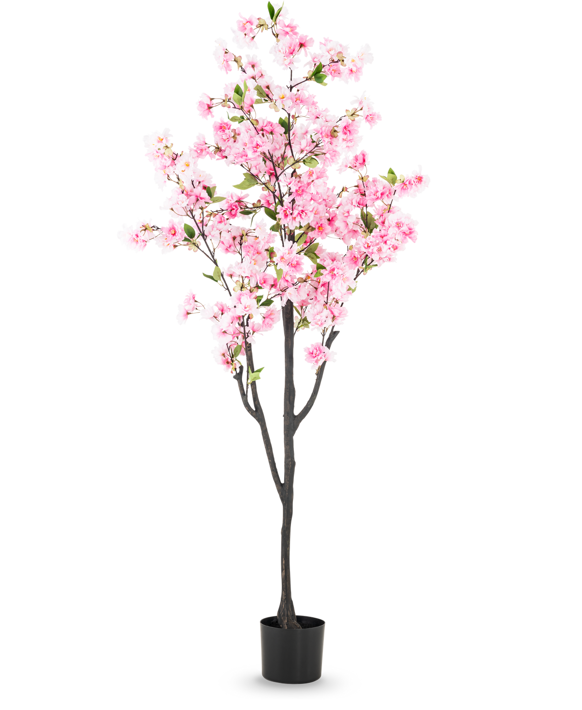 Artificial Cherry Blossom 180 cm pink har lyserøde blomster og grønne blade i en lille sort potte, mod en almindelig hvid baggrund.