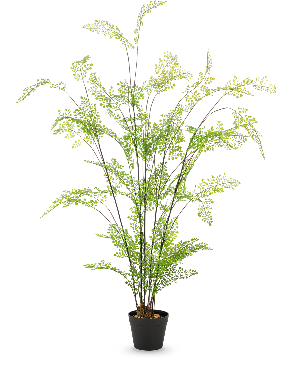 Den 120 cm kunstige bregne har lange, slanke stængler og små fine grønne blade, som er elegant arrangeret i en potte mod en almindelig hvid baggrund - en ideel, letplejet stueplante til dit interiør.