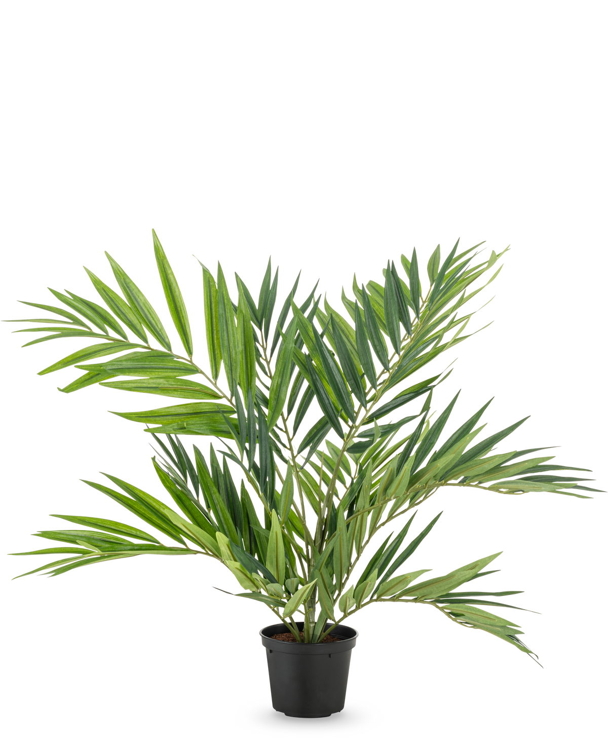 Artificial Palm Parlor UV 60 cm har lange, smalle blade på flere stængler i en enkel sort potte, mod en hvid baggrund - en stilfuld kunstig palme, der fremhæver ethvert rum.
