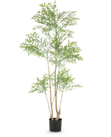 Den kunstige plante Ruscus 180 cm er en høj kunstig plante med flere slanke stammer og rigelige små grønne blade, vist i en simpel sort potte mod en hvid baggrund.