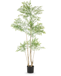 Kunstig plante Ruscus 180 cm