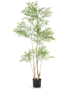 Den kunstige plante Ruscus 180 cm er en høj kunstig plante med flere slanke stammer og rigelige små grønne blade, vist i en simpel sort potte mod en hvid baggrund.