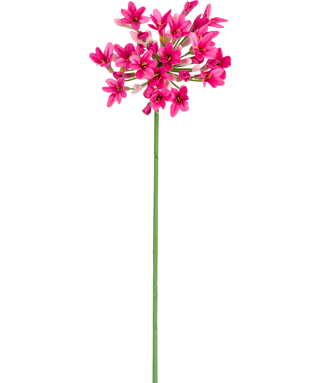Den kunstige blomst Agapanthus 77 cm pink har en enkelt grøn stilk med flere bundter af lyse lyserøde blomster, hver med flere kronblade, mod en almindelig hvid baggrund.