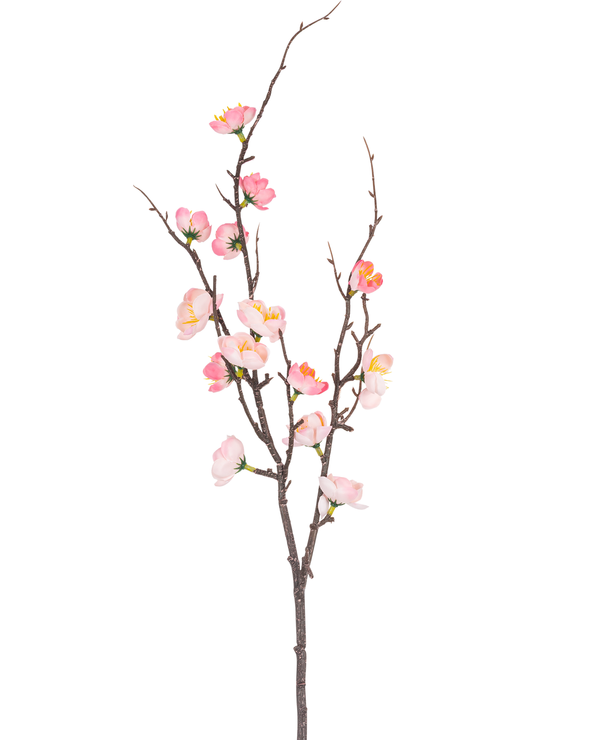 Den kunstige gren Prunus 78 cm pink har en enkelt mørkebrun gren med mindre skud, dekoreret med lyserøde og hvide kirsebærblomster og grønne knopper, mod en almindelig hvid baggrund.