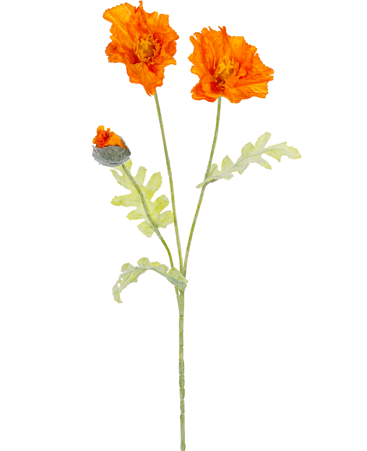 En botanisk illustration af den kunstige blomstervalmue 73 cm orange viser to åbne orange blomster og en lukket knop på lange grønne stængler med lysegrønne, dybt fligede blade.