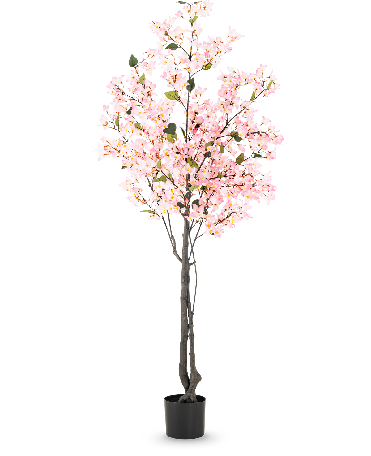 Kunstig plante Bougainvillea 180 cm pink med flere grene fulde af små lyserøde blomster og grønne blade i en enkel sort potte, mod en hvid baggrund.