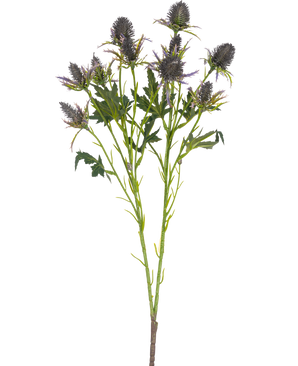 De Kunsttak Distel 68 cm blauw heeft een enkele steel met meerdere stekelige blauwe distelbloemen en gekartelde groene bladeren, geïsoleerd op een witte achtergrond.