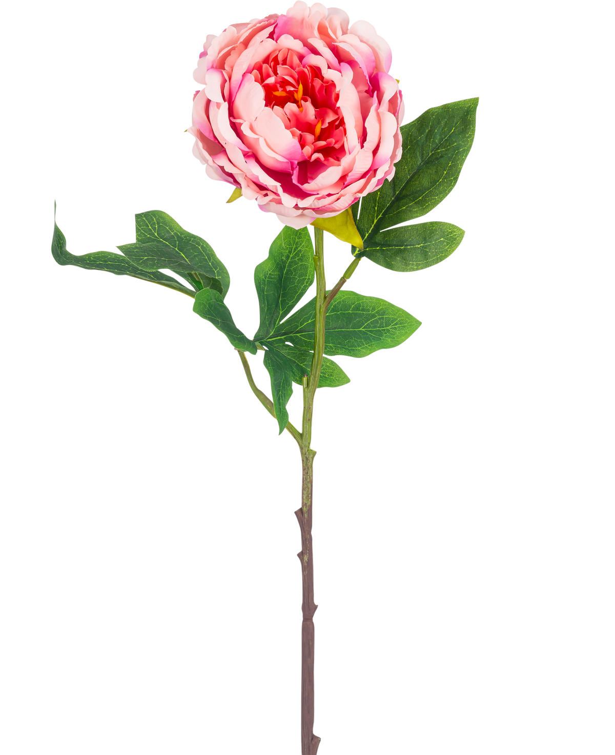 Artificial Flower Peony 61 cm pink har en enkelt pink pæon med frodige grønne blade og en lang brun stilk, isoleret på en hvid baggrund.