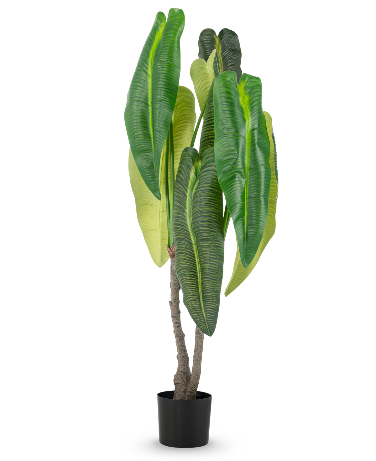 En kunstig plante Anthurium 150 cm med store blade i en potte.