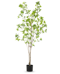 Kunstig plante Pieris Japonica 180 cm