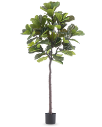 Kunstig  Ficustræ Deluxe 215 cm