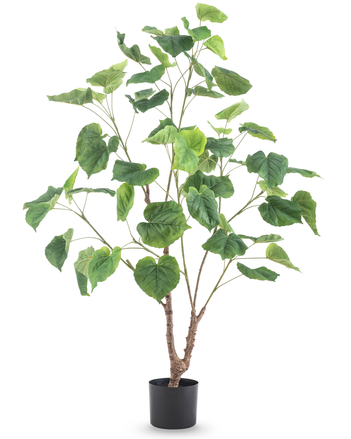 Kunstplanten Ficus 120 cm er en høj kunstig plante med flere slanke grene og store hjerteformede grønne blade, i en enkel sort potte mod hvid baggrund.