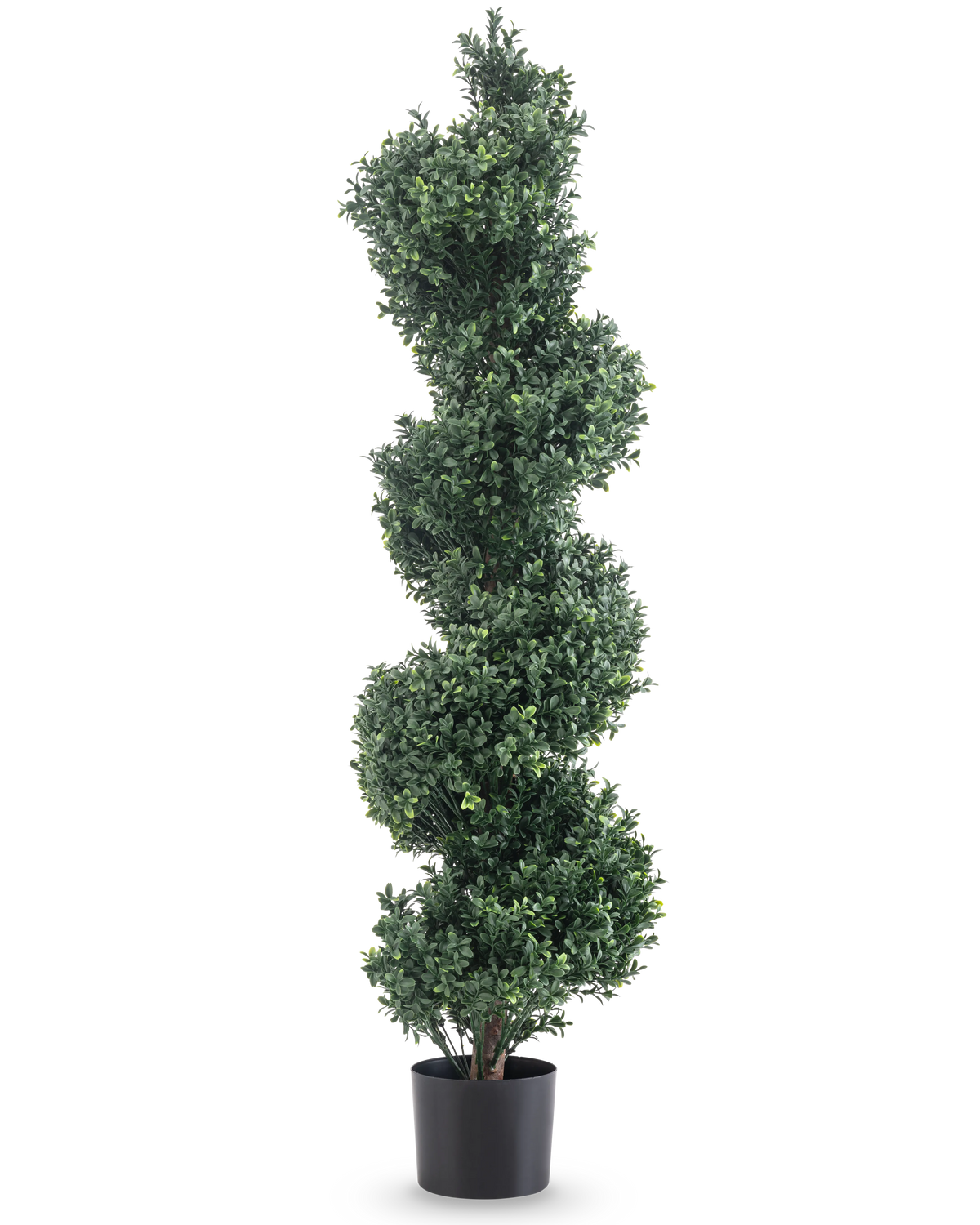 Artificial Boxwood Spiral Roman style UV 120cm er en kunstig topiary med tætte grønne spiralblade, i en simpel sort potte og mod en hvid baggrund.