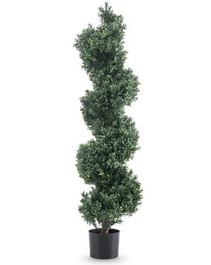 De Kunst Buxus Spiraal Romeinse stijl UV 120cm is een kunst vormsnoei met dicht groen spiraalvormig blad, in een eenvoudige zwarte pot en tegen een witte achtergrond.