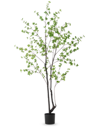 Kunstig plante Enkianthus 210 cm