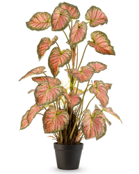 Kunstig plante Caladium 90 cm pink