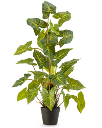 Kunstig plante Trapa Bispinosa 90 cm grøn