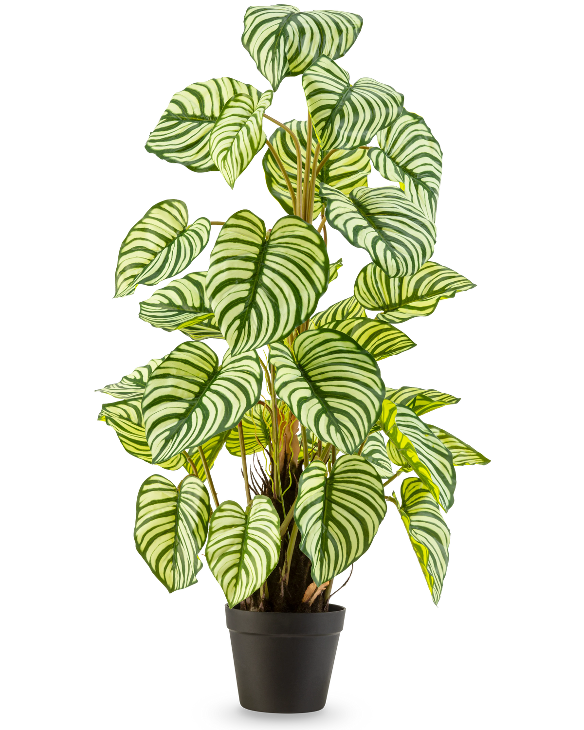 Kunstplanten Anthurium 90 cm grøn er en kunstig plante i potte med store, ovale grøn-hvidstribede blade, stående oprejst i en sort potte mod en almindelig hvid baggrund.