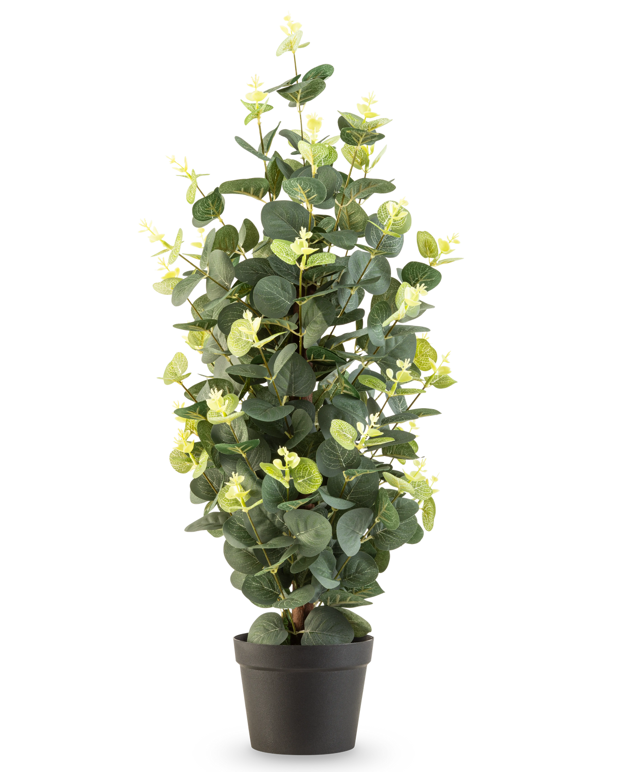 Kunstplanten Eucalyptus 61 cm er en kunstig plante i potte med grønne blade i en simpel sort potte, som står oprejst mod en hvid baggrund.