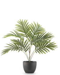 Kunstig palme Phoenix 50 cm i dekorativ potte sort