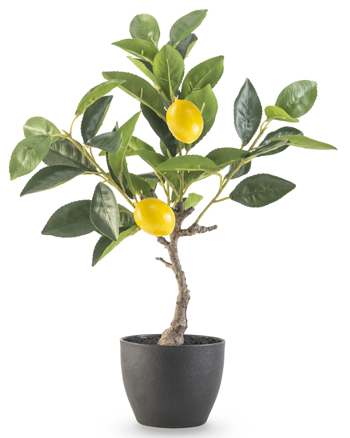 Det kunstige citrontræ 40 cm i sort dekorativ potte har grønne blade og to modne gule citroner i en potte med sort struktur, perfekt til udstilling på en hvid baggrund.