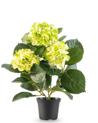 Kunstig hortensia grøn 35 cm