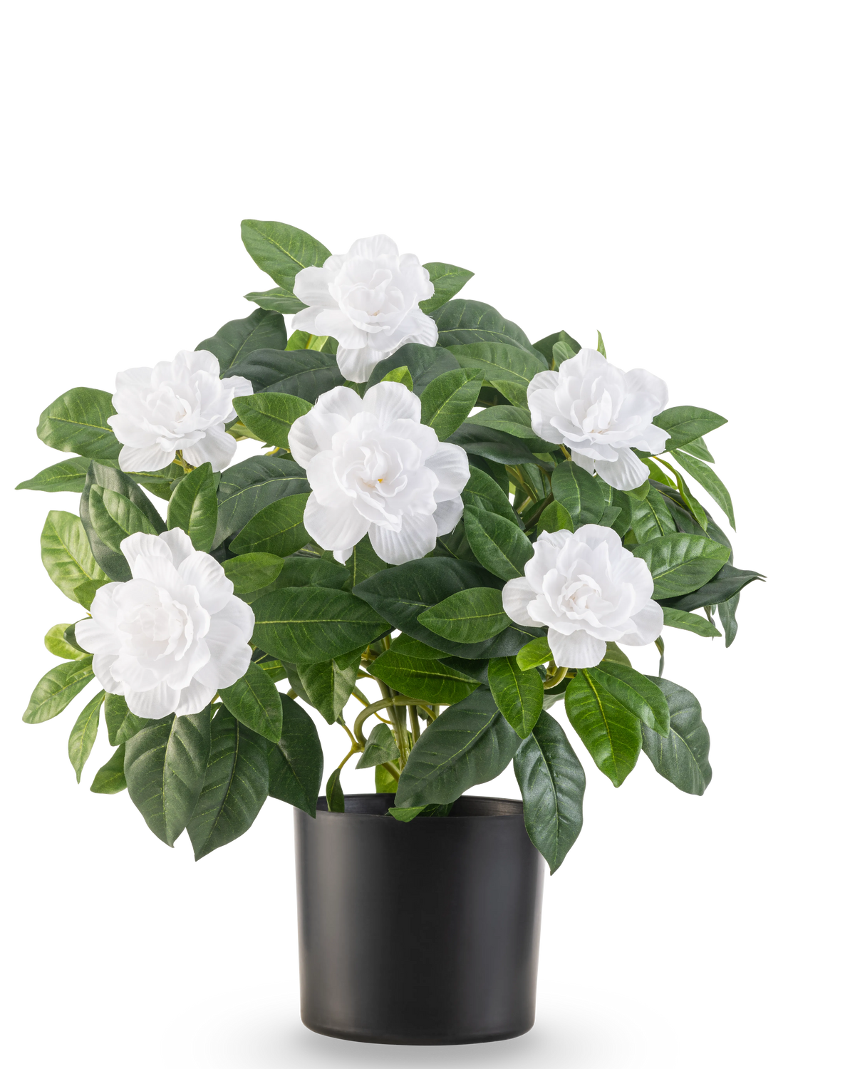 Kunstplanten Gardenia UV 39 cm hvid har frodige grønne blade og store hvide gardenia blomster i en enkel sort potte, mod en almindelig hvid baggrund.