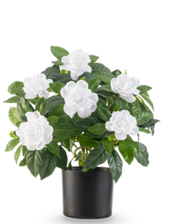 Kunstig plante Gardenia 39 cm hvid