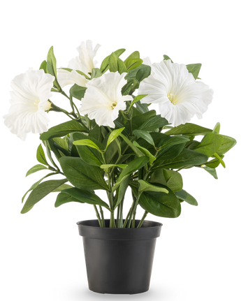Artificial Flower Petunia-planten UV 25 cm høj har store hvide trompetformede blomster og frodige grønne blade i en sort plastikpotte, mod en almindelig hvid baggrund.