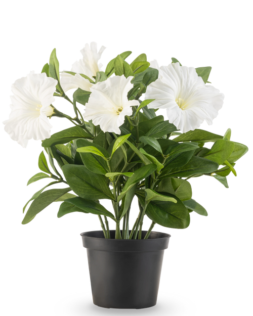 Artificial Flower Petunia-planten UV 25 cm høj har store hvide trompetformede blomster og frodige grønne blade i en sort plastikpotte, mod en almindelig hvid baggrund.