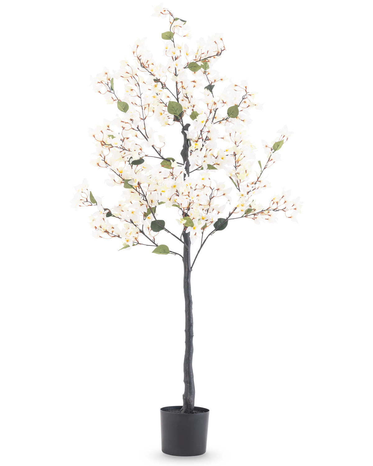 Den kunstige bougainvillea 150 cm hvid er et højt kunstigt træ med hvide blomsterlys og grønne blade, i en sort cylindrisk potte mod en almindelig hvid baggrund.