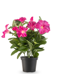 Kunstig petunia-plante 25 cm mørk rosa