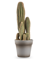 De Kunst Cactus 41 cm is een hoge, meerstammige groene kunstcactus met verticale richels en bruine randen, weergegeven in een eenvoudige grijze bloempot tegen een witte achtergrond.