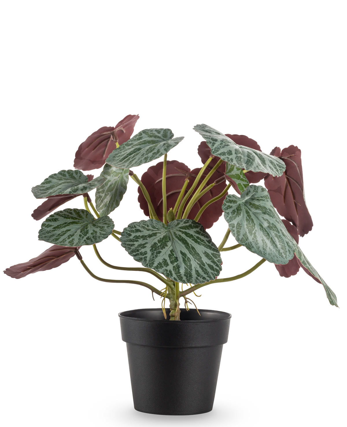 Den kunstige plante Saxifraga 27 cm har grønne blade med hvide årer og rødlilla undersider, præsenteret i en simpel sort potte mod en almindelig hvid baggrund.