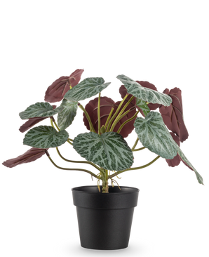 Den kunstige plante Saxifraga 27 cm har grønne blade med hvide årer og rødlilla undersider, præsenteret i en simpel sort potte mod en almindelig hvid baggrund.