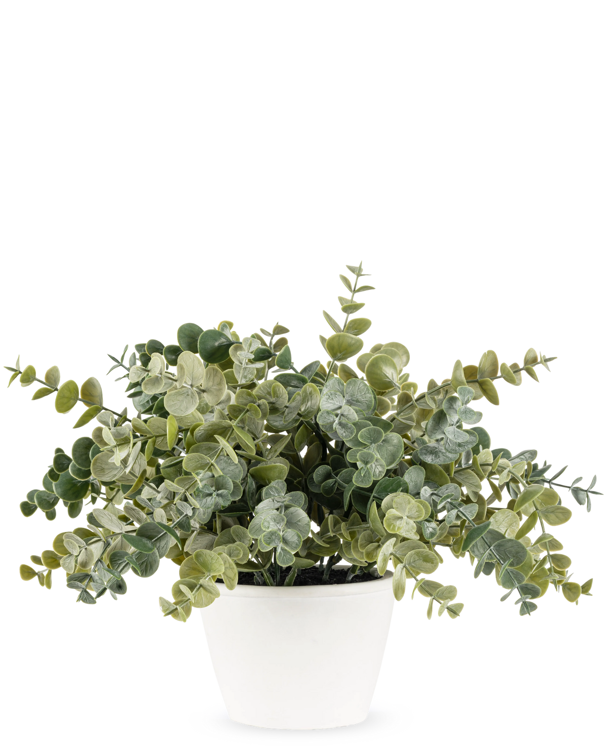Den Artificial Eucalyptus 23 cm-plante har frodige, runde grønne blade og kommer i en enkel hvid potte, perfekt til at lysne ethvert rum op med sit naturlige look mod en almindelig baggrund.