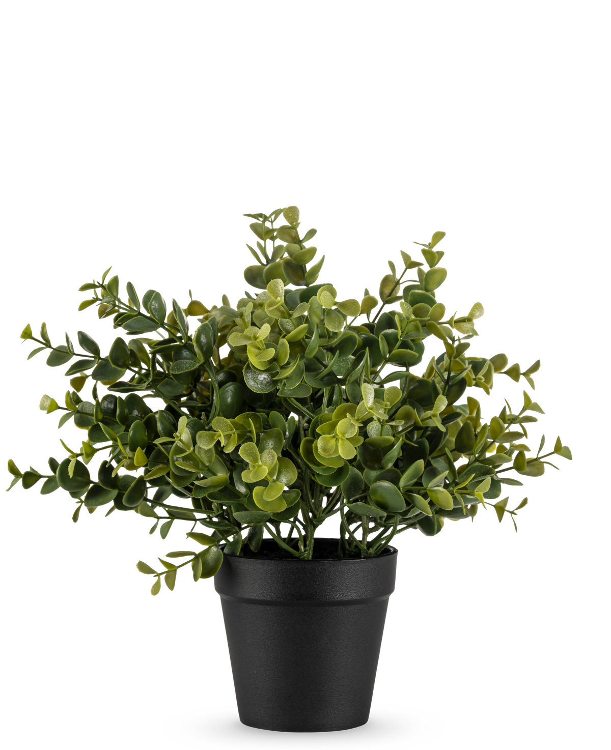 Den kunstige plante Pumila 25 cm er en lille kunstig potteplante med frodige grønne blade i en simpel sort potte, afbildet på en almindelig hvid baggrund.