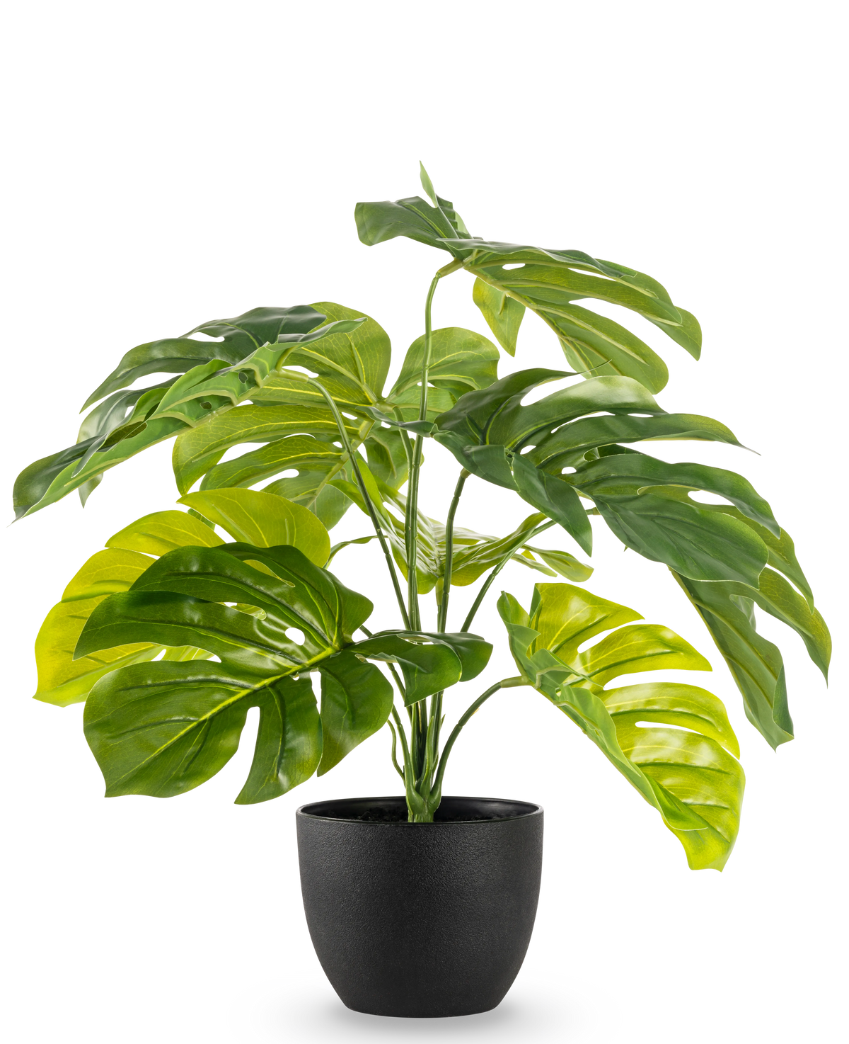 Artificial Monstera 55 cm i sort dekorativ potte har store, skinnende, flækkede grønne blade i en sort dekorativ potte, mod en almindelig hvid baggrund.