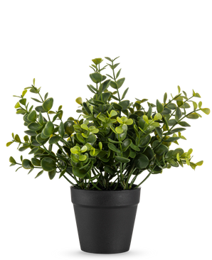 De Kunstplant Pumila 20 cm is een kleine kunstplant in pot met ronde groene bladeren in een eenvoudige zwarte pot, weergegeven op een effen witte achtergrond.