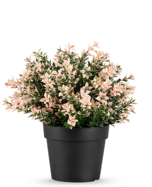 De Kunstplant Buxus roze UV 22 cm heeft dichte, kleine lichtroze en groene bladeren in een effen zwarte pot, tegen een witte achtergrond.