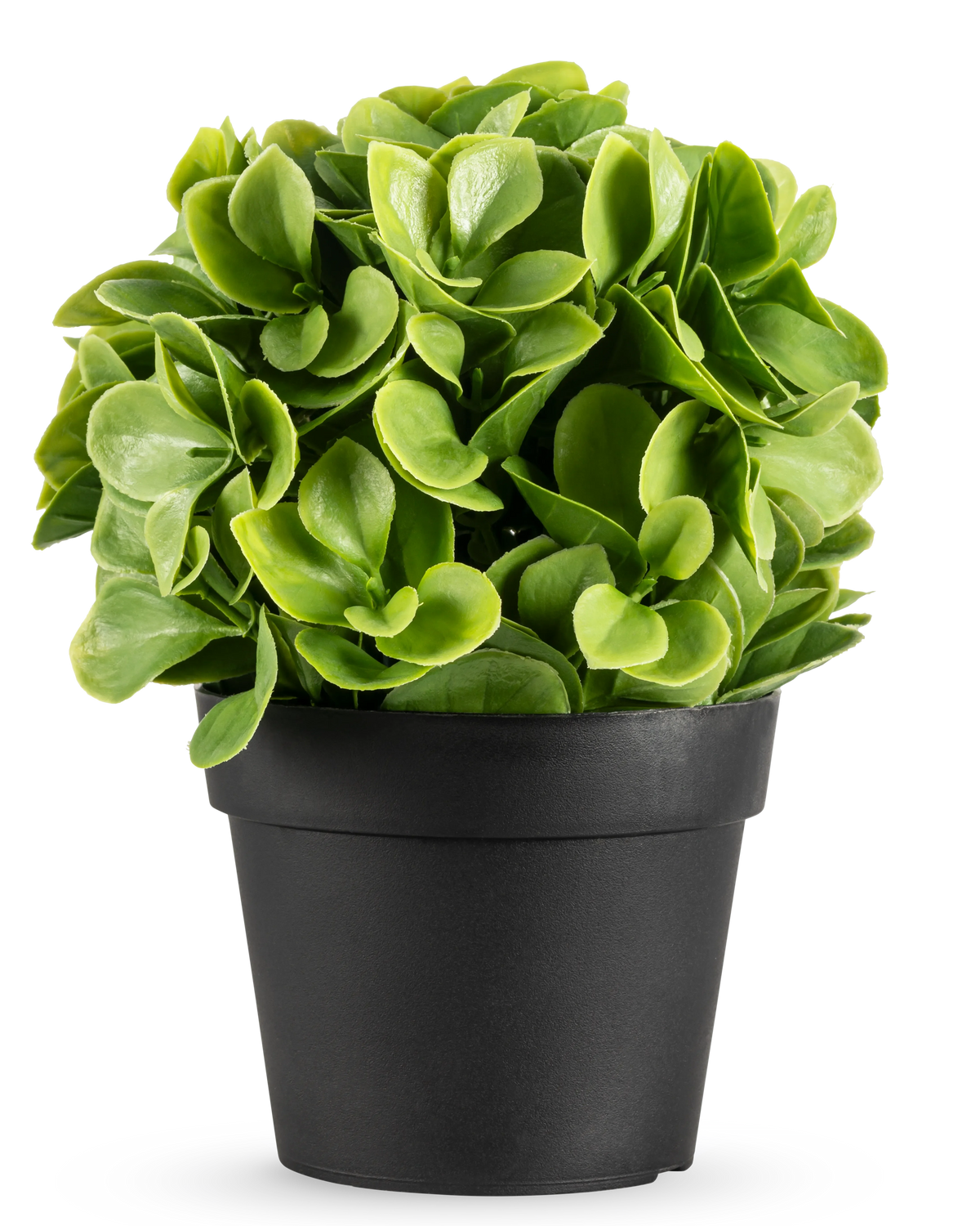 Kunstplanten Murraya UV 20 cm er en lille, rund kunstig plante med frodige grønne blade i en simpel sort potte, mod en almindelig hvid baggrund.
