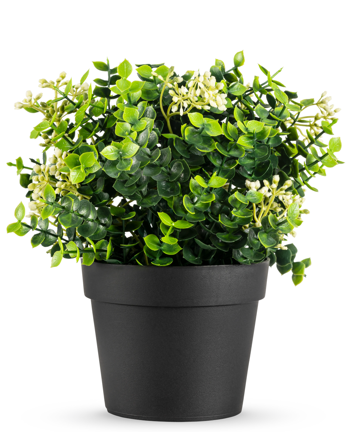 Den kunstige planteeukalyptusblanding UV 22 cm har lyse grønne blade og små hvide blomster i en simpel sort potte, mod en hvid baggrund.