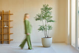 En person i grønt går forbi Artificial Ruscus-planten 180 cm, en høj potteplante i et minimalistisk rum med lyse vægge, et vindue og en træhylde. Figuren fremstår vagt i bevægelse.