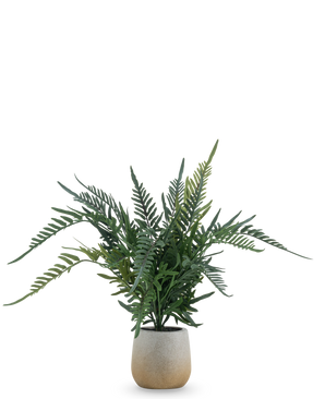 De Kunstplant Varen 51 cm is een kunstvaren met lange, groene, vederachtige bladeren in een eenvoudige ronde pot van lichtgekleurd keramiek, tegen een effen witte achtergrond.