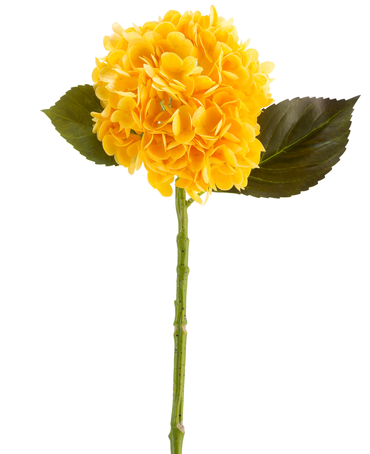 Den kunstige blomst Charlotte Hortensia Real Touch i gul, 55 cm, er en enkelt kunstig hortensiablomst med grønne blade og en lang stilk, mod en hvid baggrund.