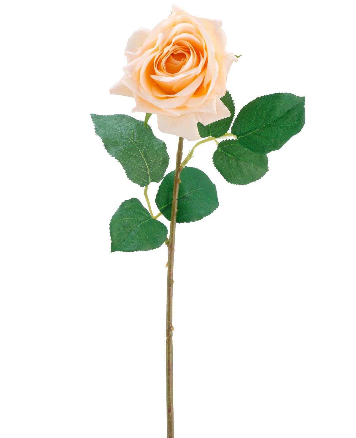 Den kunstige blomst Crystal touch fugtgivende rose Real Touch i champagne er en enkelt kunstig rose med grønne blade på en 43 cm lang, slank stilk, afbilledet mod en almindelig hvid baggrund.