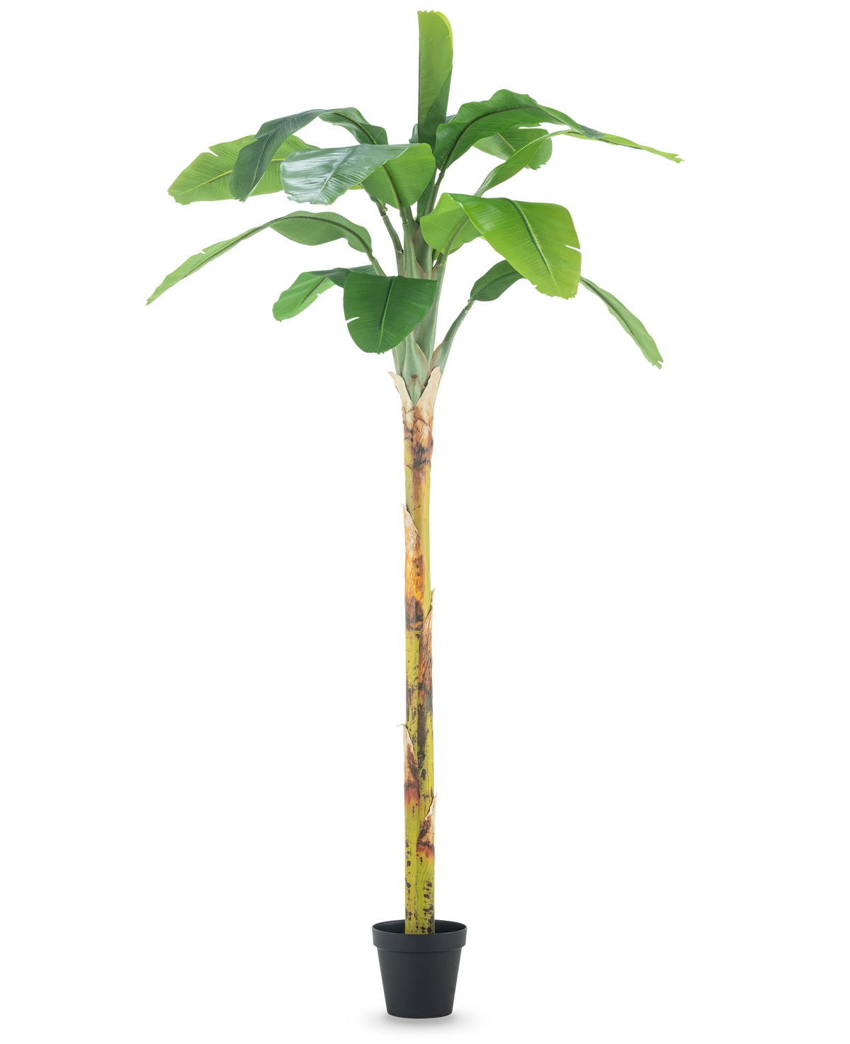 The Artificial Plant Banana Tree 250 cm er et højt kunstigt banantræ med brede grønne blade og en struktureret stamme, vist i en lille sort potte på en almindelig hvid baggrund.