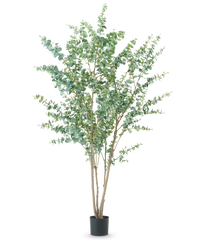 Kunstig plante Eukalyptus 240 cm