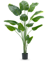 Kunstig plante Strelitzia 210 cm ægte touch