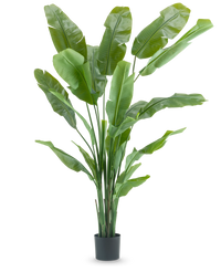 Kunstig plante Strelitzia Nicolai Deluxe 225 cm